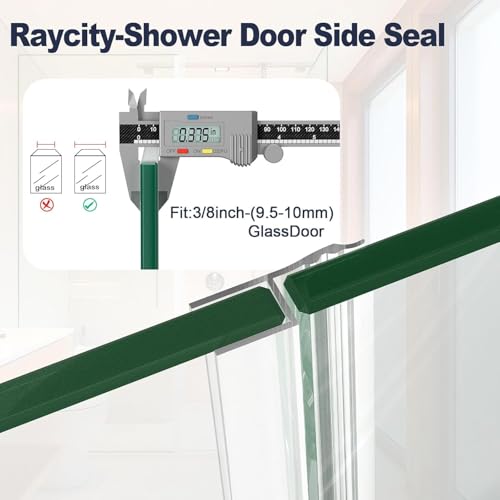 Raycity 10 Feet Shower Door view 3