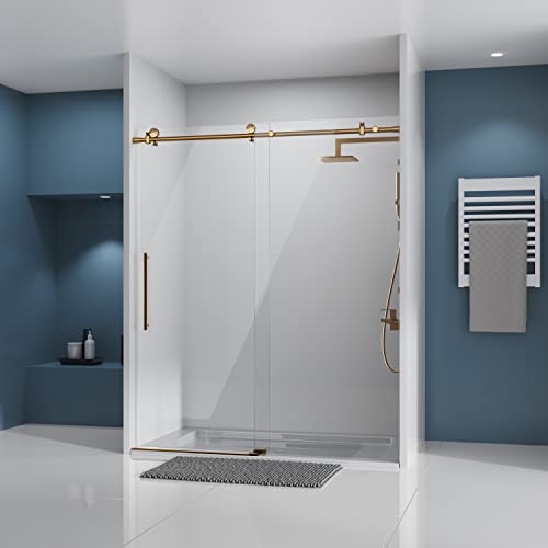 DELAVIN Frameless Shower Door 56-60"